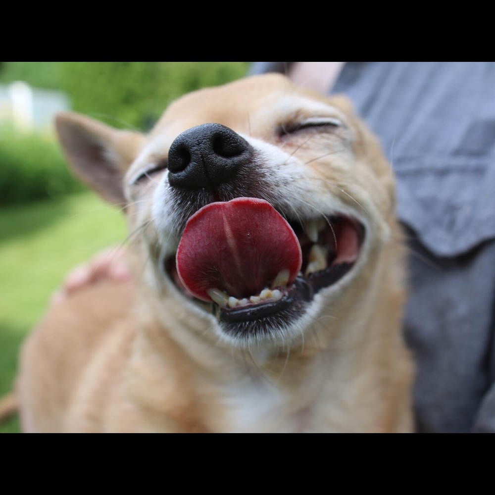 Meet your Posher, Tierney